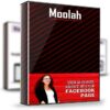 Facebook Page Strategies X–Course – Moolah