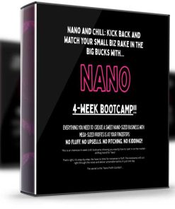 Ryan Lee – Nano Bootcamp