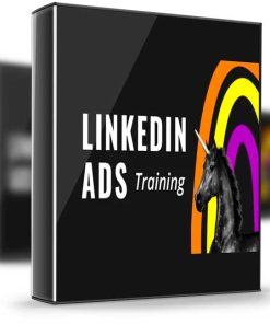 Super Lumen – The LinkedIn Ads Course