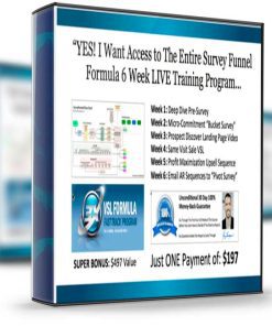 Ryan Levesque and Todd Brown – Survey Funnel Formula