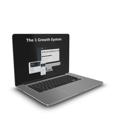 Stijn Noorman – The X Growth System 1 Stijn Noorman – The X Growth System