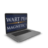 Stewart Pearce – The Magnetic Voice