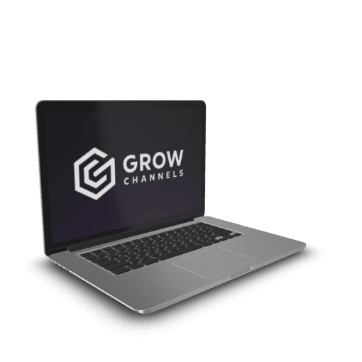 Razvan Paraschiv – Grow Channels Accelerator 1 Razvan Paraschiv – Grow Channels Accelerator
