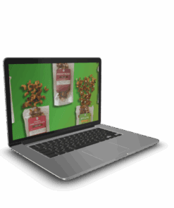 Eric Glandian – MVP Build Along Workshop