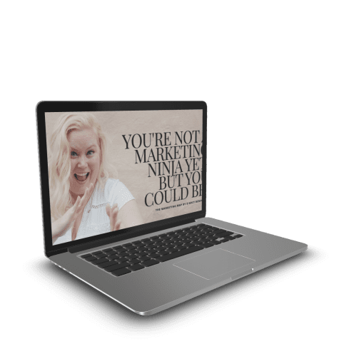 D’Arcy Benincosa – The Marketing Map 1 D’Arcy Benincosa – The Marketing Map